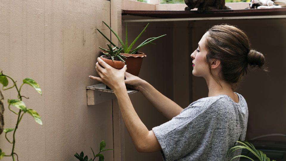 Grow These 8 Plants For Natural Anxiety Relief
